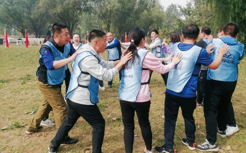 凝心聚力 熔煉團隊｜金橋集團金秋團建活動精彩集錦！